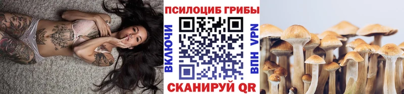 Купить где  Таштагол  Галлюциногенные грибы Cubensis 
